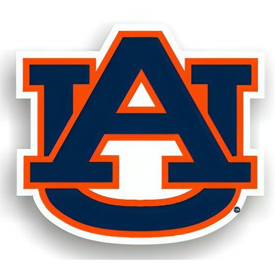 Auburn Tigers Car Magnets 6 Count Wholesale