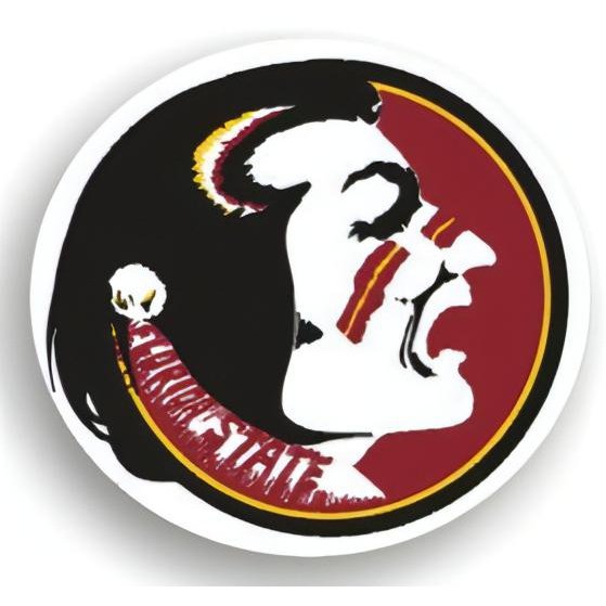 Florida State Seminoles Car Magnets 6 Count Pythonbrands